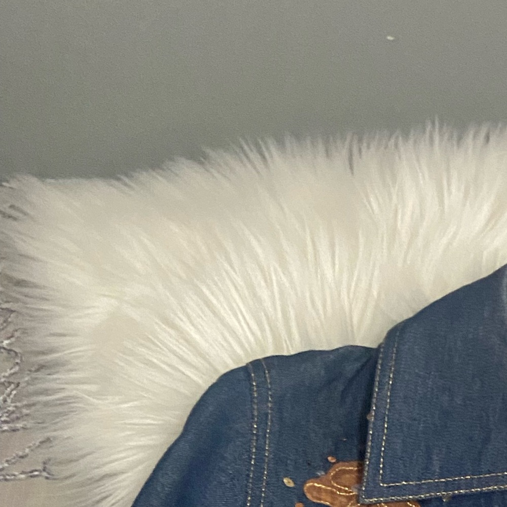 Embroidered Denim Jacket - Picture 6 of 9